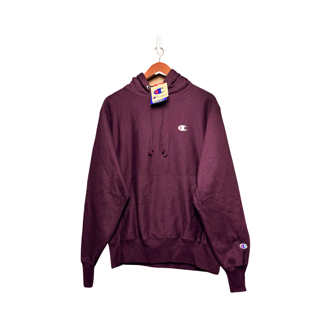 Champion UO Exclusive Reverse Weave Hoodie Sweatshirt