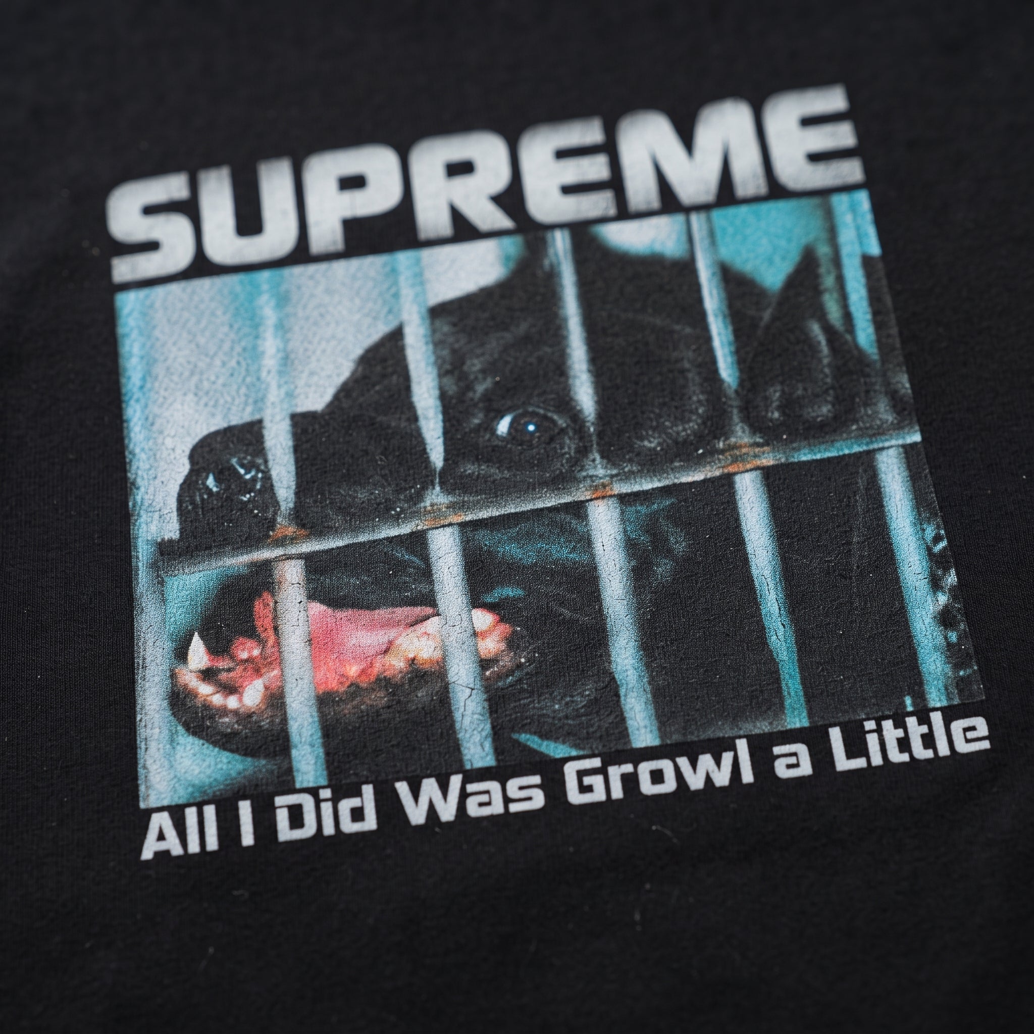 Supreme Growl Tee FW26