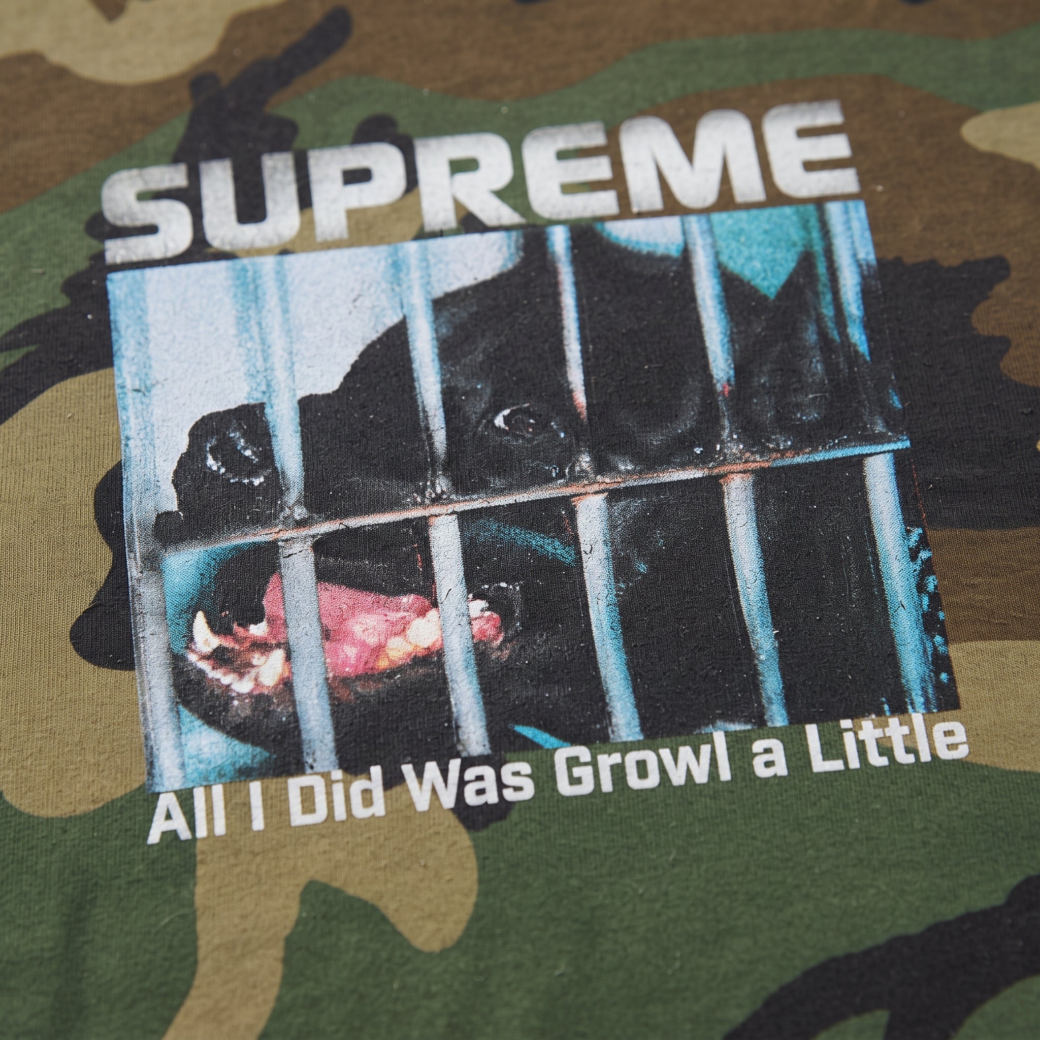 Supreme Growl Tee FW26